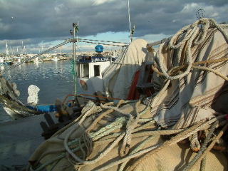 Fuengirola haven