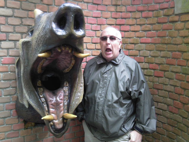 zoek de vcerschillen