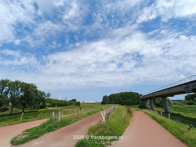 A lines A15 Rotterdam