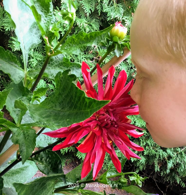kinderen en tuinieren bij opa