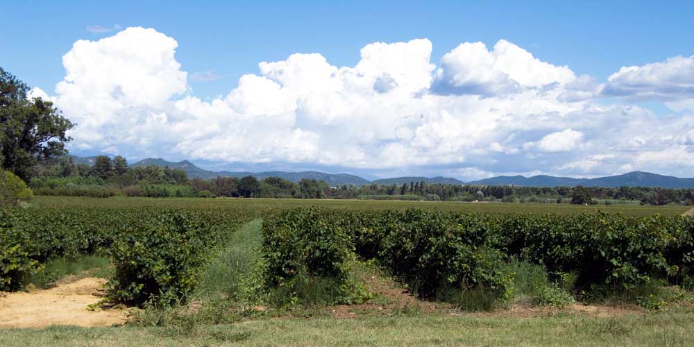 wijn  route frankrijk